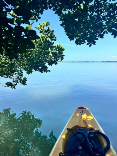 Tierra Verde: Shell Key Mangrove Private Guided 1.5 Hr Tour - Frequently Asked Questions