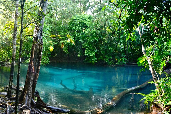 Tiger Cave and Emerald Pool Jungle Tour From Krabi - Meeting and Pickup Details