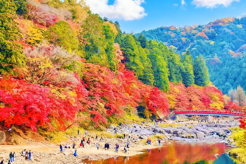 Tiger Creek Mountain Eihoji Temple & Obara Shikizakura & Korankei Autumn Leaves Day Trip - Key points