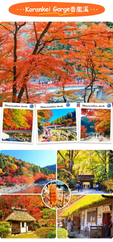 Tiger Creek Mountain Eihoji Temple & Obara Shikizakura & Korankei Autumn Leaves Day Trip - Korankei beside the Tomoe River