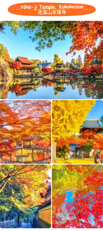Tiger Creek Mountain Eihoji Temple & Obara Shikizakura & Korankei Autumn Leaves Day Trip - Should you book it?