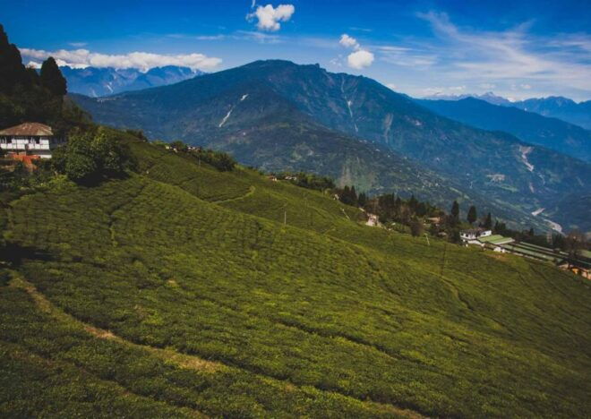 Tiger Hill Darjeeling Nature Walk (3 Hours Guided Tour) - Duration of Tour