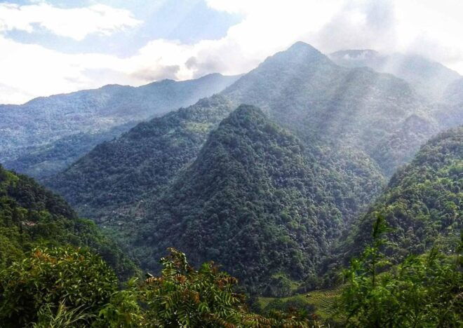 Tiger Hill Darjeeling Nature Walk (3 Hours Guided Tour) - Activity Highlights