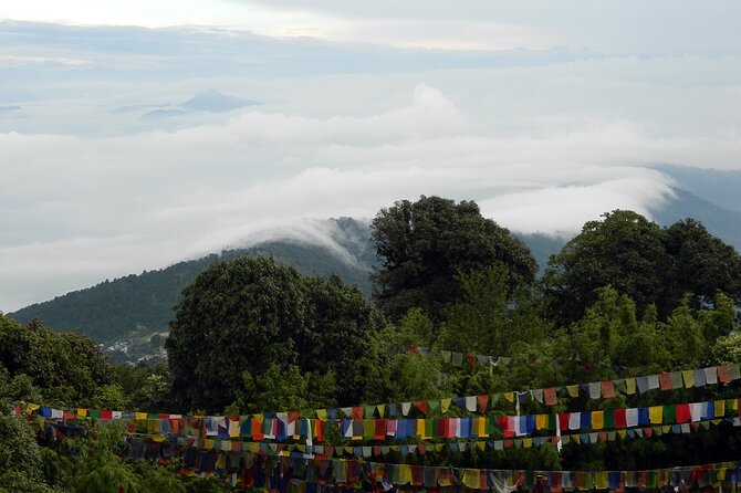 Tiger Hill Darjeeling Nature Walk (3 Hours Guided Trekking Experience) - Meeting Point and Logistics