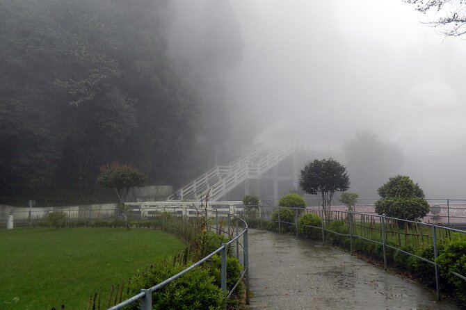 Tiger Hill Darjeeling Nature Walk (3 Hours Guided Trekking Experience) - Pricing and Reviews