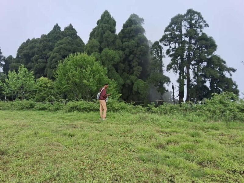 Tiger Hill Sunrise and Hiking Tour from Darjeeling - Starting the Day: Early Morning Pickup and Drive to Tiger Hill