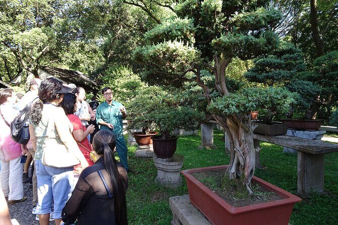 Tiger Hill Ticket Booking - Why Choose This Tour?