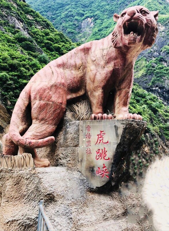 Tiger Leaping Gorge & Haba Snow Mountain Full-Day Small Group Adventure - Haba Mountain and the grassland need a closer look