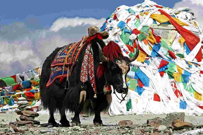Tiger Nest Monastery Tour in Bhutan - How to Reach Tiger Nest Monastery