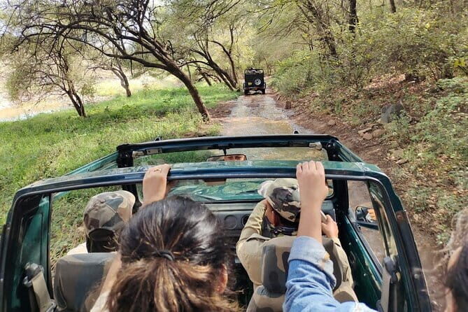 Tiger Safari in Ranthambore national park | Canter Options - Who Should Consider This Safari?