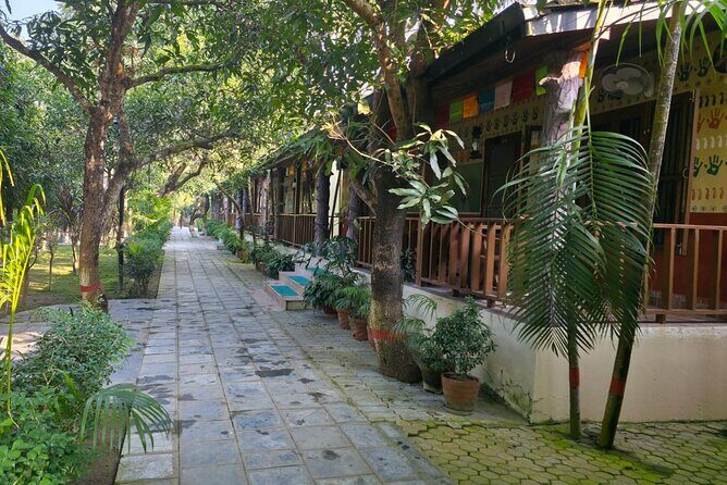 Tiger Tracking Tour in Chitwan with Jeep Safari- 2 Nights 3 Days - Overview of the Tour Experience  