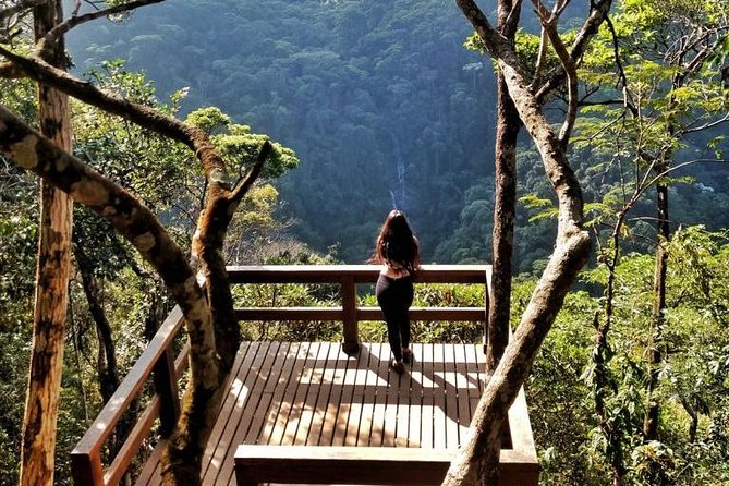 Tijuca National Park and Botanic Garden Guided Tour & Transfer - Tour Highlights