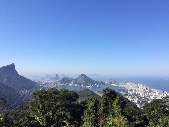Tijuca National Park Half-Day Hiking Tour  - Rio De Janeiro - Pricing and Booking
