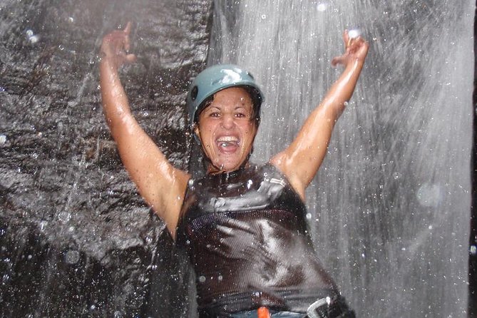 Tijuca National Park Hike and Waterfall Rappelling - Park Overview