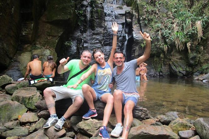 Tijuca National Park Jungle Hike From Rio De Janeiro - Native Flora and Fauna