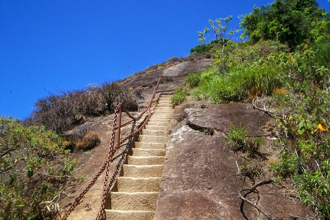 Tijuca Peak Hiking Tour & Taunay Waterfall - Rio De Janeiro - Inclusions and Exclusions