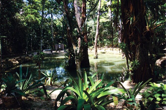 Tijucas National Park - Eco Hiking Tour - Transportation Details