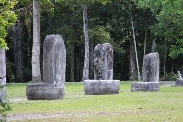 Tikal Day Tour From Flores With Lunch - Tour Duration and Languages