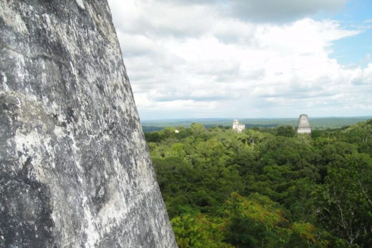 Tikal Day Tour From Flores With Lunch - Pickup Details and Experience Highlights