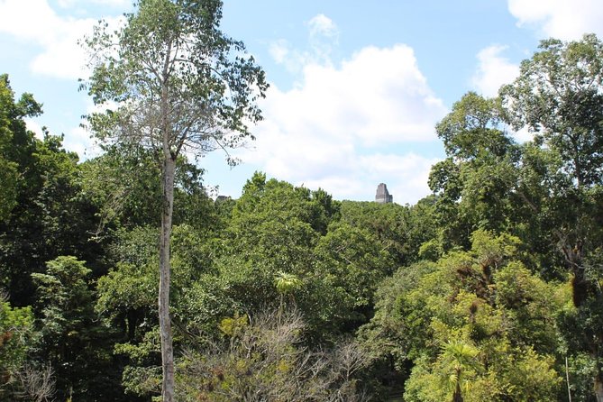 Tikal Exclusive Full Day Tour From Belize Border - Tour Highlights