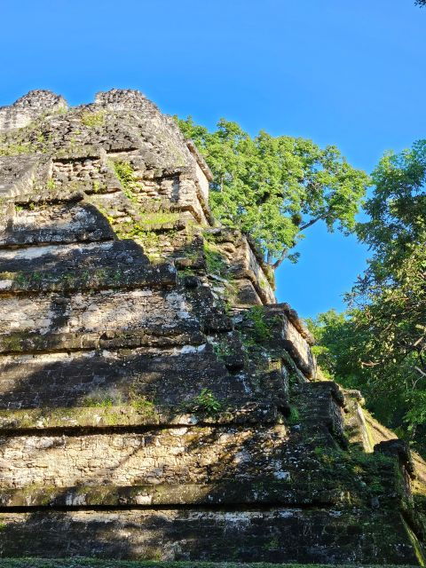 Tikal From Flores or Mundo Maya Airport - Best Way to Reach Tikal