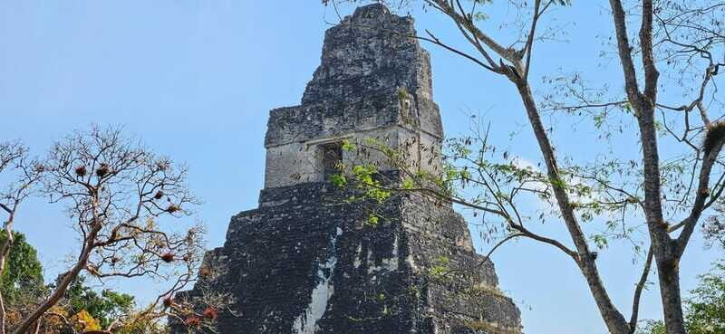 Tikal from Hotel Camino Real El Remate - All Inclusive - Final Thoughts: Who Will Love This Tour?