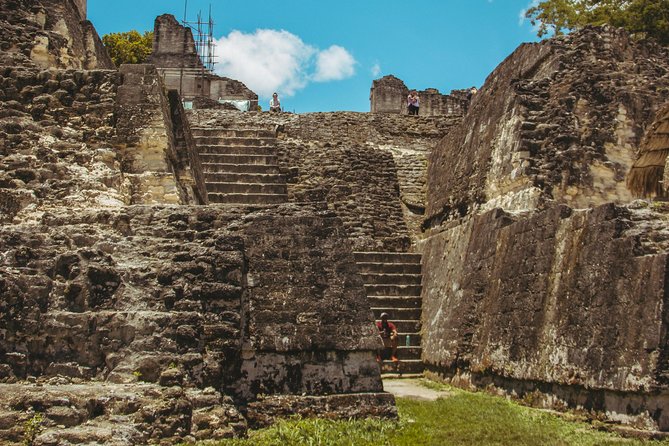 Tikal Private Guided Day Trip With Lunch, Drinks, and Tickets  - Flores - Customer Reviews