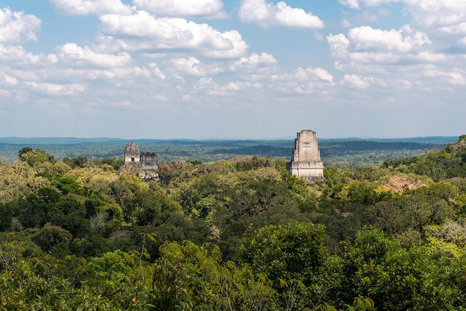 Tikal Small Group Tour From Flores Or Tikal - Tour Highlights