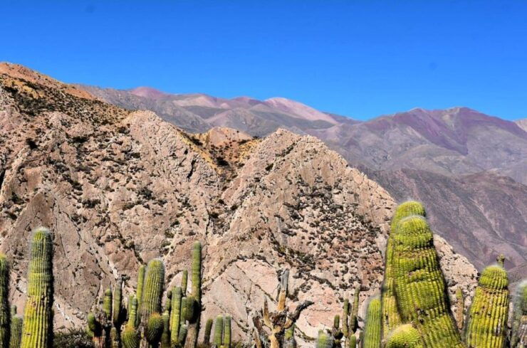 Tilcara: Half Day Mountain Bike Tour With Lunch - Booking Details