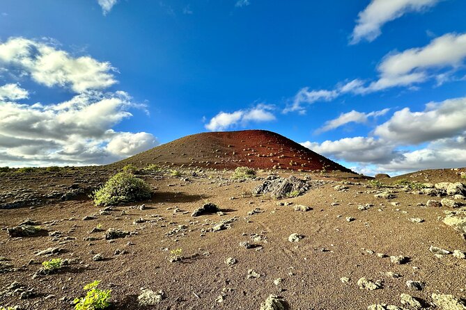 Timanfaya National Park Trekking With a Typical Canarian Snack - Wildlife and Nature