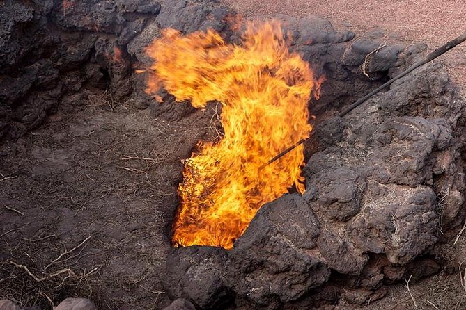 Timanfaya Park & Camel Ride (Extra Cost) - Short South Tour - Inclusions and Exclusions