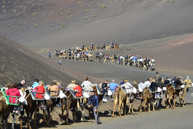 Timanfaya Park & Camel Ride (Extra Cost) - Short South Tour - Reviews and Ratings