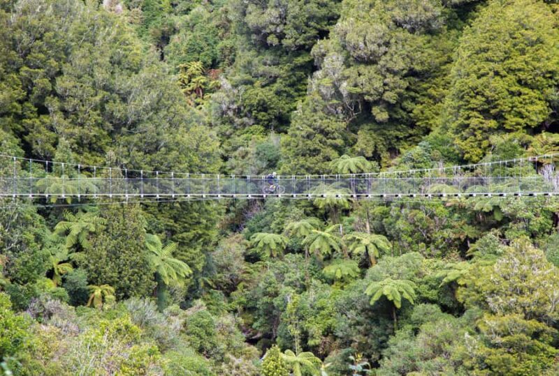 Timber Trail One Day Mountain Bike Ride - Shuttle Service - Good To Know