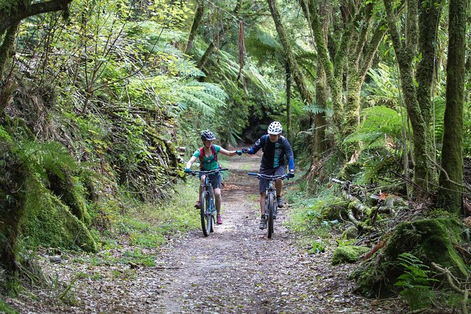 Timber Trail - Ongarue to Pureora Shuttle 2 Day Ride - Overview of Timber Trail