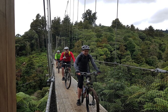 Timber Trail - Ongarue to Pureora Shuttle 2 Day Ride - Trail Difficulty and Terrain