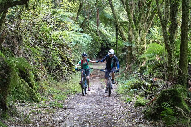 Timber Trail - Ongarue to Pureora Shuttle 2 Day Ride - Meeting Point and Pickup Details