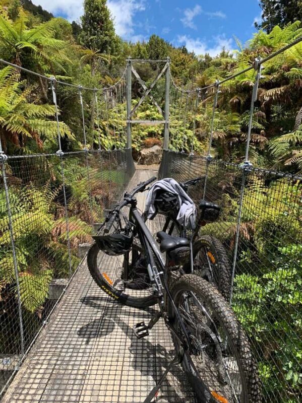 Timber Trail Two Day Mountain Bike Ride - Shuttle Service - Good To Know