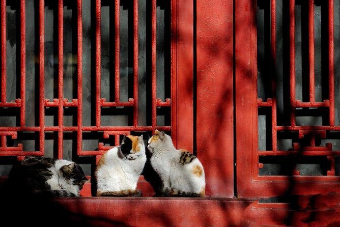 Time Travel Tour of the Forbidden City in Beijing - Exploring the Itinerary in Detail