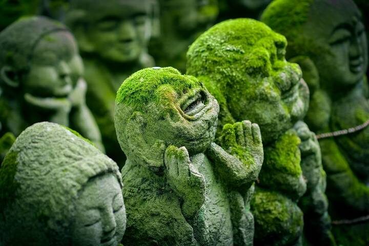 Timeless Japan by Cosmos - 10-Day Tokyo to Osaka Tour - Tokyo: shrine quiet, garden paths and street food