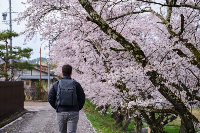 Timeless Takayama: A Walk Through History and Beauty - Vibrant Festivals in Babamachi