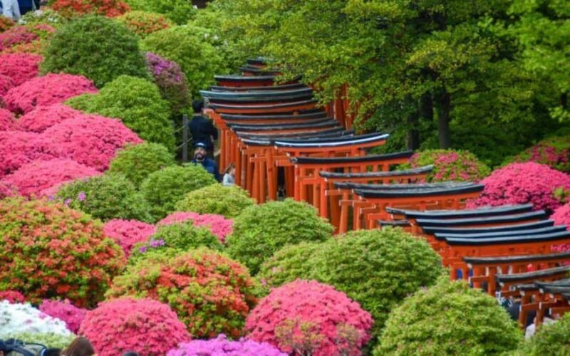 Timeless Tokyo Yanaka: Hidden Flavors & Old Tokyo Spirit - Good To Know