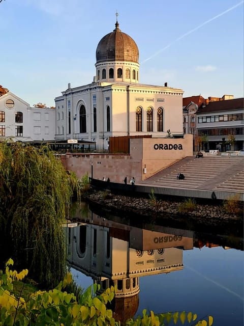 Timisoara: Oradea and Arad Downtown Dream Tour - The Value of a Full-Day Guided Experience