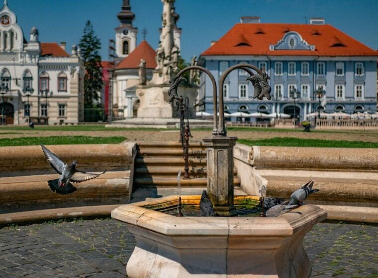 Timisoara: Private Walking Tour with a Local Guide - The Sum Up: Who Will Love This Tour?