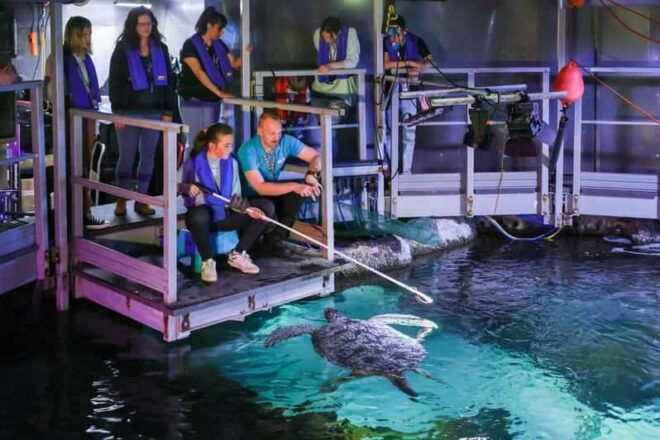 Timmendorfer Strand: SEA LIFE Behind the Scenes Tour - Ticket Information