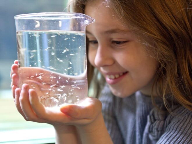 Timmendorfer Strand: SEA LIFE Behind the Scenes Tour - Importance of Early Booking
