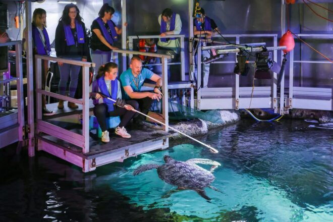 Timmendorfer Strand: SEA LIFE Behind the Scenes Tour - Meeting Location Details