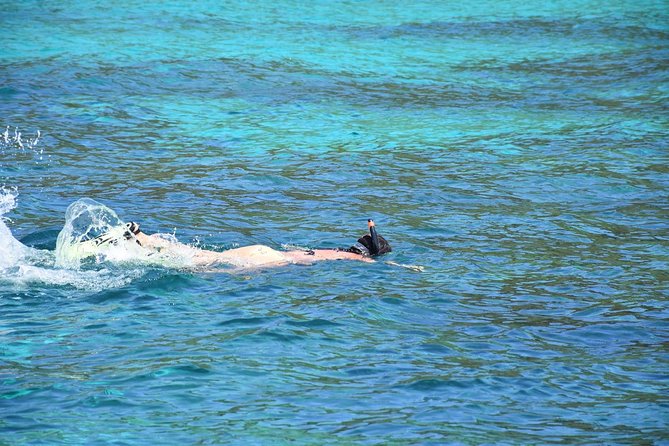Tin Adventure Sea Tour to Koh Rok and Koh Haa From Koh Lanta - Common Questions