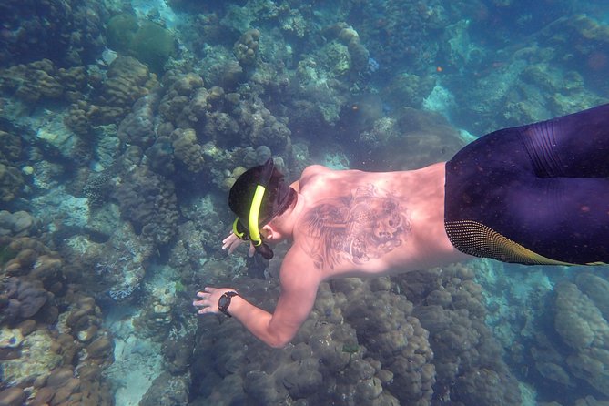 Tin Adventure Sea Tour to Koh Rok and Koh Haa From Koh Lanta - The Sum Up