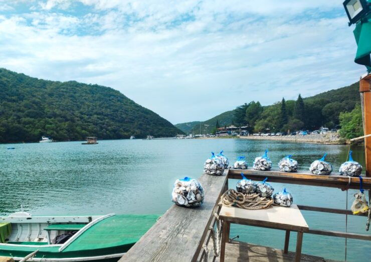 Tinjan, Lim Fyord: Bike Tour With Prosciutto & Shell Tasting - Experience Highlights