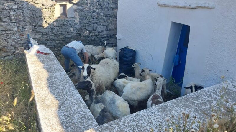 Tinos: 3-Day Hiking Adventure - Final Thoughts